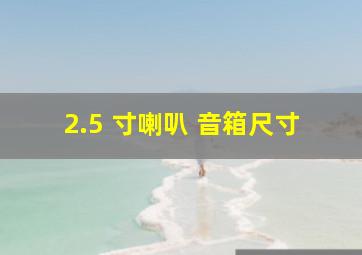 2.5 寸喇叭 音箱尺寸